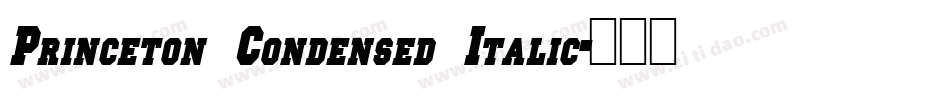 Princeton Condensed Italic字体转换